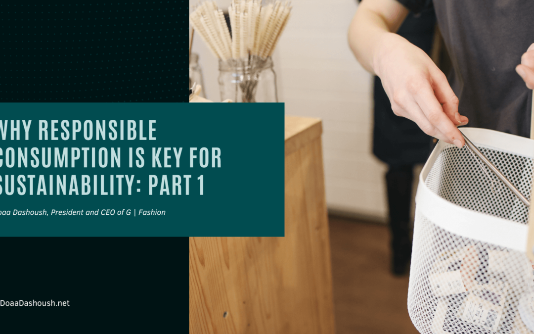 Why Responsible Consumption Is Key for Sustainability: Part 1