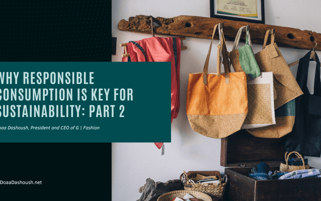 Why Responsible Consumption Is Key for Sustainability: Part 2